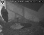 Capi_Dubne_20250426_220003.jpg
