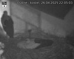 Capi_Dubne_20250426_220503.jpg