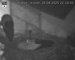 Capi_Dubne_20250426_221002.jpg
