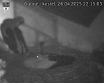 Capi_Dubne_20250426_221503.jpg