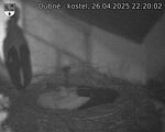 Capi_Dubne_20250426_222002.jpg