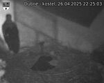 Capi_Dubne_20250426_222503.jpg
