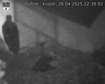 Capi_Dubne_20250426_223002.jpg