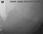 Capi_Dubne_20250426_223502.jpg