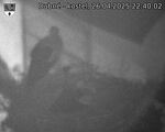Capi_Dubne_20250426_224002.jpg