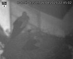 Capi_Dubne_20250426_224502.jpg