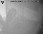 Capi_Dubne_20250426_225002.jpg