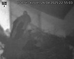 Capi_Dubne_20250426_225503.jpg
