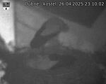 Capi_Dubne_20250426_231002.jpg