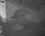 Capi_Dubne_20250426_233502.jpg