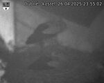 Capi_Dubne_20250426_235502.jpg
