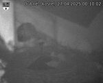 Capi_Dubne_20250427_001002.jpg