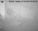 Capi_Dubne_20250427_003502.jpg