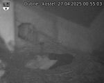 Capi_Dubne_20250427_005503.jpg