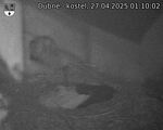 Capi_Dubne_20250427_011003.jpg