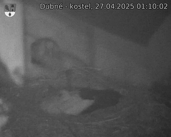 Capi_Dubne_20250427_011003.jpg (1350 x 1080)