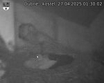 Capi_Dubne_20250427_013002.jpg