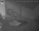 Capi_Dubne_20250427_013502.jpg