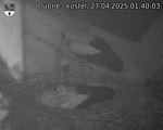 Capi_Dubne_20250427_014003.jpg