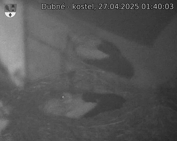 Capi_Dubne_20250427_014003.jpg (1350 x 1080)