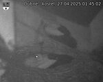 Capi_Dubne_20250427_014502.jpg