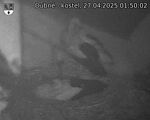 Capi_Dubne_20250427_015002.jpg