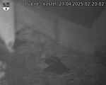 Capi_Dubne_20250427_022002.jpg