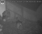 Capi_Dubne_20250427_023003.jpg