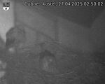 Capi_Dubne_20250427_025002.jpg