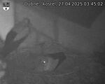 Capi_Dubne_20250427_034502.jpg