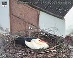Capi_Dubne_20250427_054002.jpg