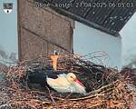 Capi_Dubne_20250427_060503.jpg