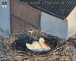 Capi_Dubne_20250427_062503.jpg