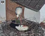 Capi_Dubne_20250427_075503.jpg