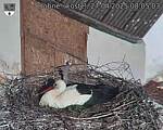 Capi_Dubne_20250427_080503.jpg