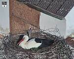 Capi_Dubne_20250427_081003.jpg