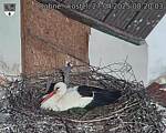 Capi_Dubne_20250427_082003.jpg