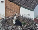 Capi_Dubne_20250427_103003.jpg