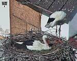 Capi_Dubne_20250427_110503.jpg
