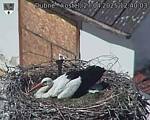 Capi_Dubne_20250427_124003.jpg
