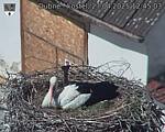 Capi_Dubne_20250427_124503.jpg