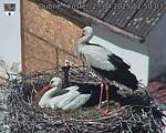 Capi_Dubne_20250427_125003.jpg