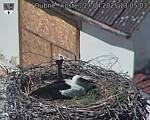 Capi_Dubne_20250427_130503.jpg