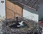 Capi_Dubne_20250427_131503.jpg