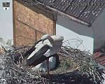 Capi_Dubne_20250427_134503.jpg