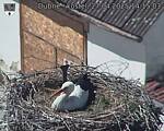 Capi_Dubne_20250427_141503.jpg