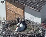 Capi_Dubne_20250427_142003.jpg