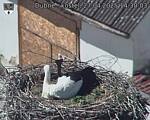 Capi_Dubne_20250427_143003.jpg
