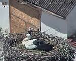 Capi_Dubne_20250427_145503.jpg