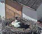 Capi_Dubne_20250427_150502.jpg
